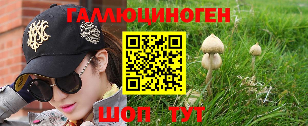 Псилоцибиновые грибы мухоморы  Вход с VPN  Кингисепп 