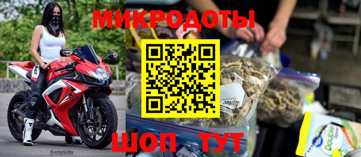 Галлюциногенные грибы мицелий Кингисепп