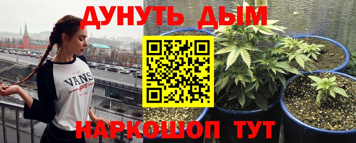 Кингисепп  Марихуана семена  МАРИХУАНА марихуана  Шишки марихуана конопля  Вход с VPN 